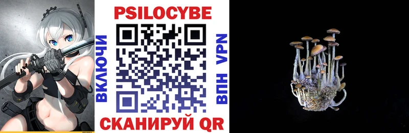 Псилоцибиновые грибы мухоморы  нарко площадка клад  Алзамай 